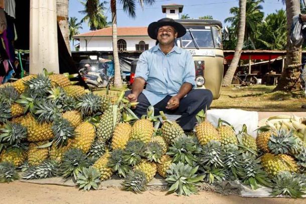 Straßenhändler verkaufen Ananas.