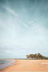 Kalkudah Beach an der Ostküste Sri Lankas