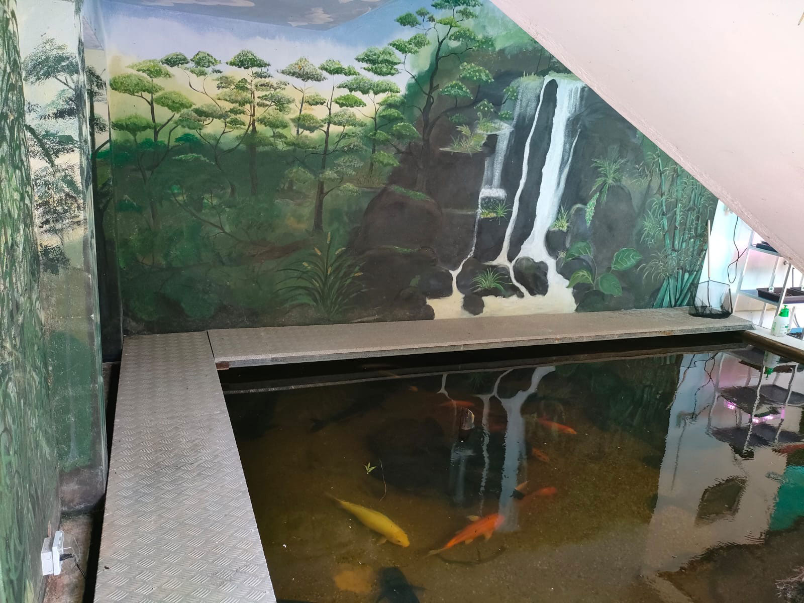 Entspannen am Fisch Pond