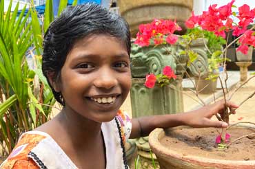 Entwicklung Minushi (November 2021, geschrieben von Julia Fischer)