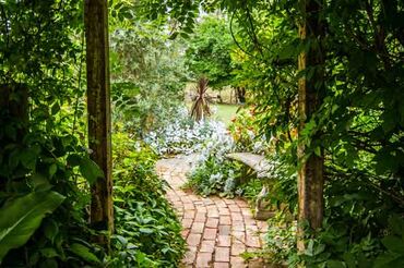 Der Botanische Garten in der Nähe von Kandy