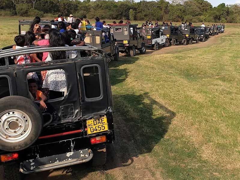 Die Engel bei der Jeep Safari in Kaudulla