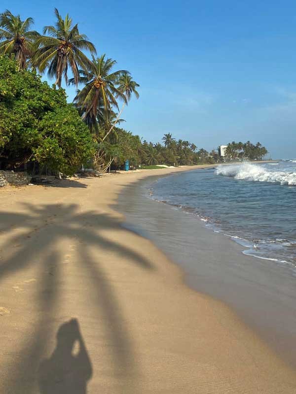 Der Mirissa Beach ganz ohne Menschen...