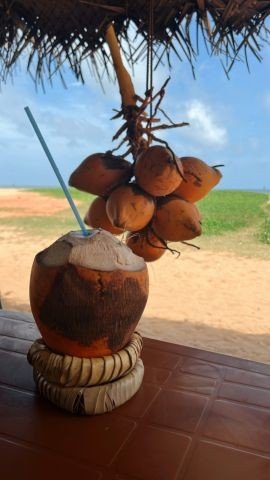 Grüße aus der Coconut-Bar