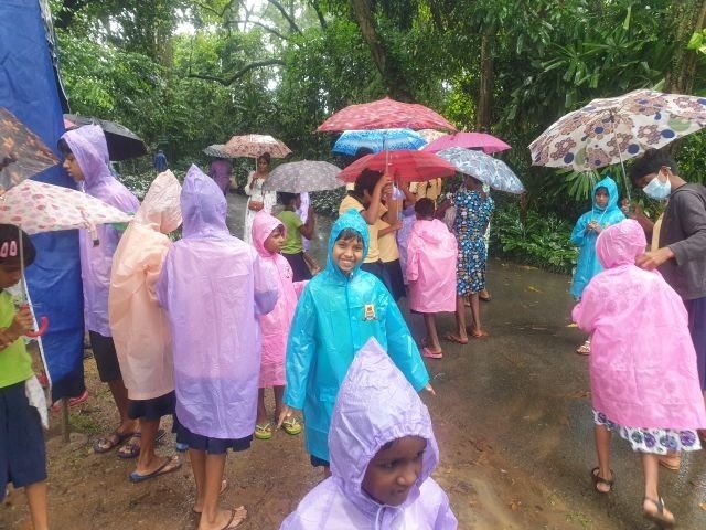 Leichte Regenschauer im Botanischen Garten in Kandy