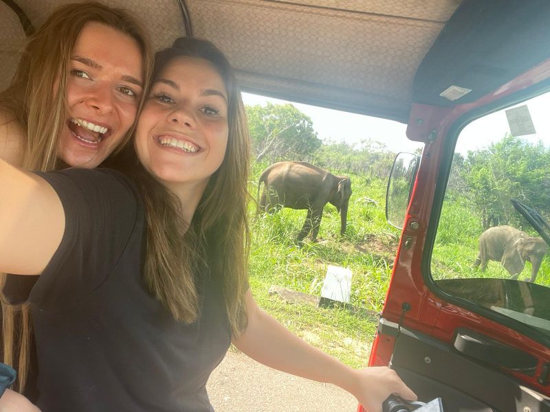 Elefantenselfie mit den Verrückten