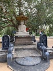 Opfergaben vor der Buddha-Figur