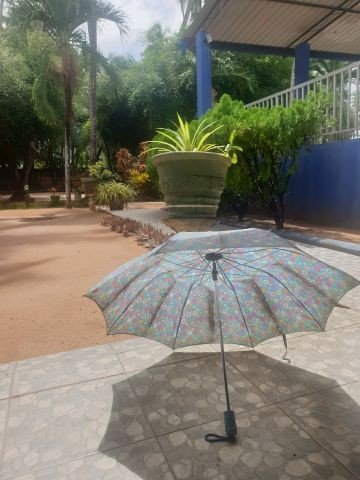 Unterm Schirm durch den Sonnenschein