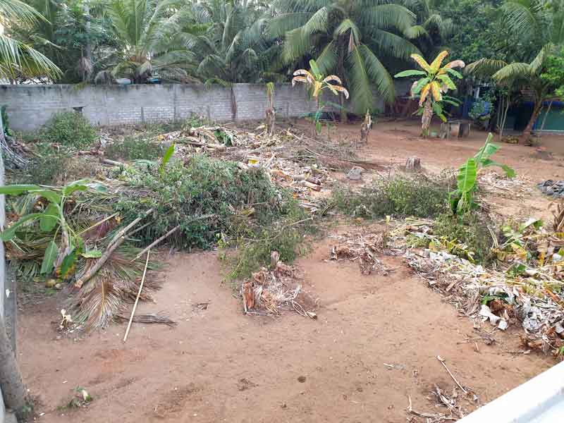 Roden f&uuml;r das Gr&uuml;nhaus