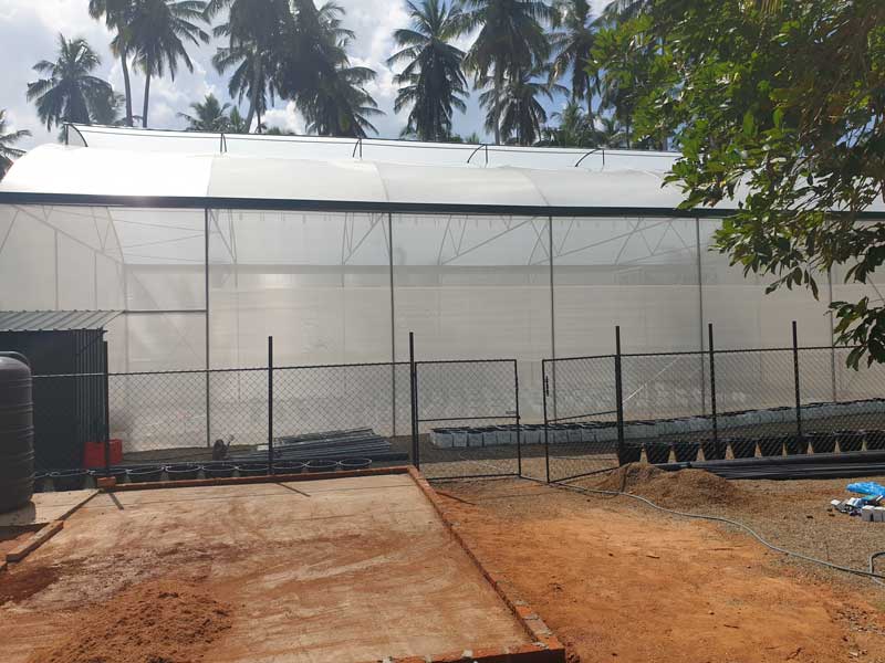 Sieht doch schon ganz gut aus das neue Gr&uuml;nhaus