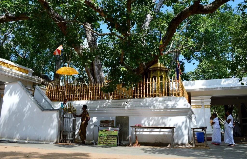 Anuradhapura