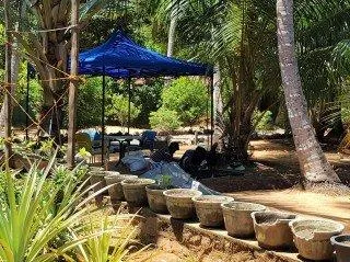 Ein kleiner Pavillon im Garten spendet schattige Sitzpl&auml;tze.