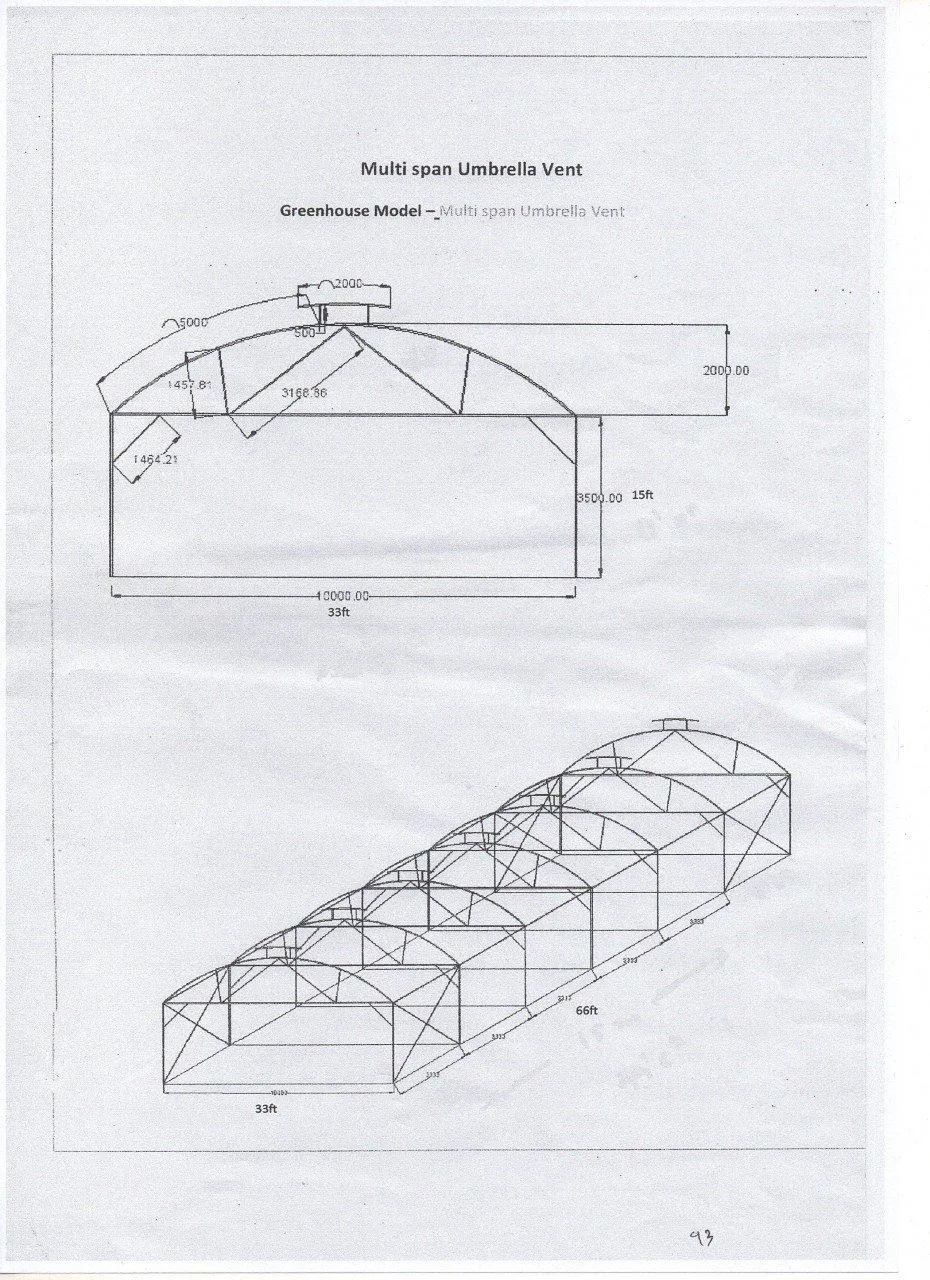 Gew&auml;chshaus in den Ma&szlig;en 20 m x 10 m x 4,5 m