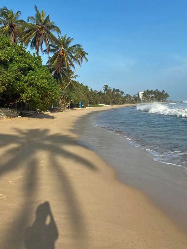 Der Mirissa Beach ganz ohne Menschen...