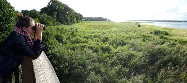 An der Ostsee konnte ich meine Nature Guide Skills ausleben.