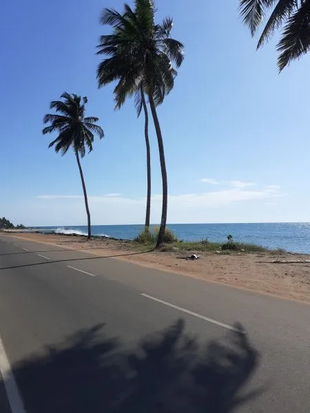 Strand