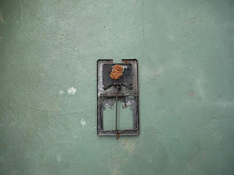_1000833._20170501-053424_1
