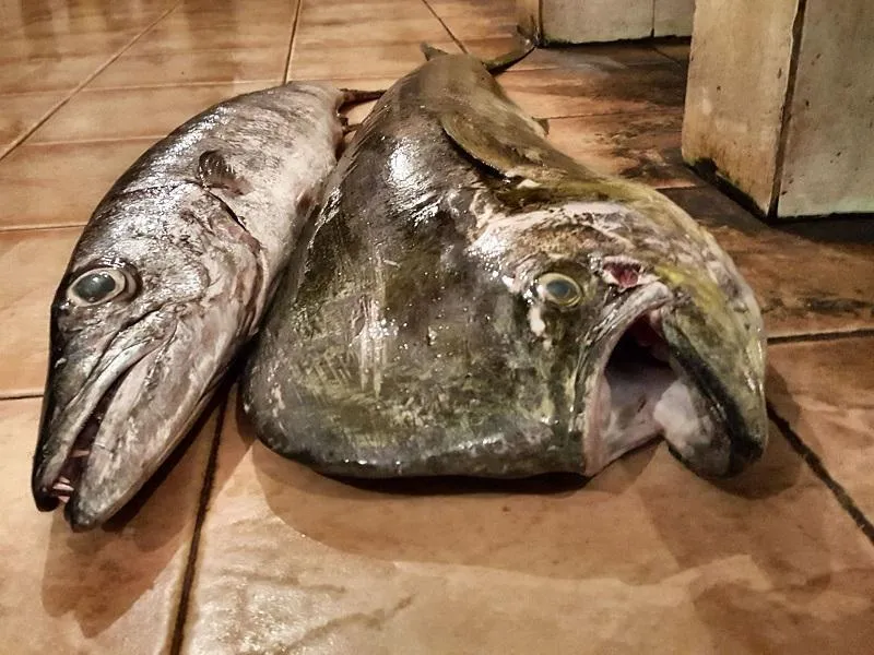 Fisch liegen auf dem Fischmarkt oft einfach auf dem Boden