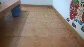 Der ganze Boden ist bedeckt von Fl&uuml;geln