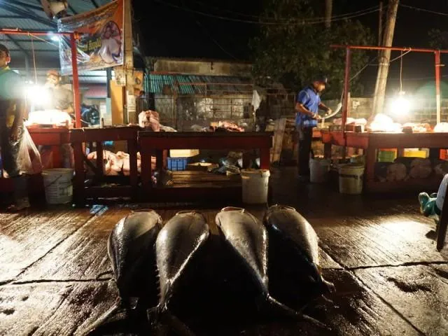 Verkaufsst&auml;nde in Negombo