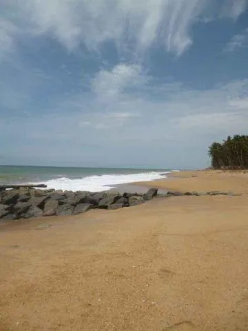 Palm Bay