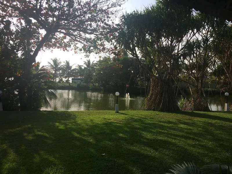 Wiese mit See im Palm Bay Hotel