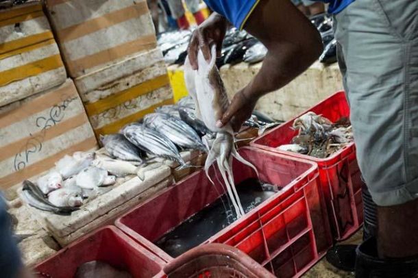 Auch exotische F&auml;nge gibt es hier.