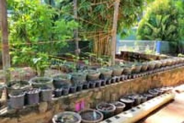 In unserem Garten tut sich was. Neue Beete werden angelegt