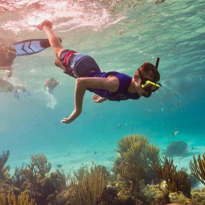 Die sch&ouml;nsten Schnorchel Pl&auml;tze in Sri Lanka