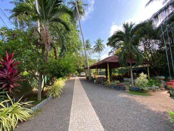 Ein langer Weg f&uuml;hrt vom Tor zum Kinderheim.