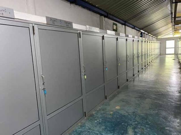 Hier machen sich 60 M&auml;dchen h&uuml;bsch.