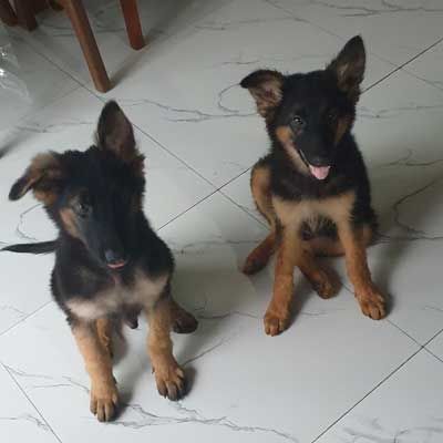 Die n&auml;chste Generration unserer Security Manschaft