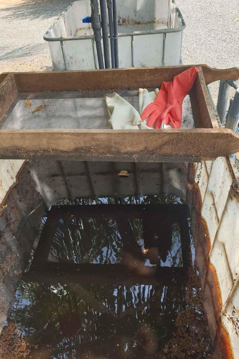 Hier werden die Chips gewaschen