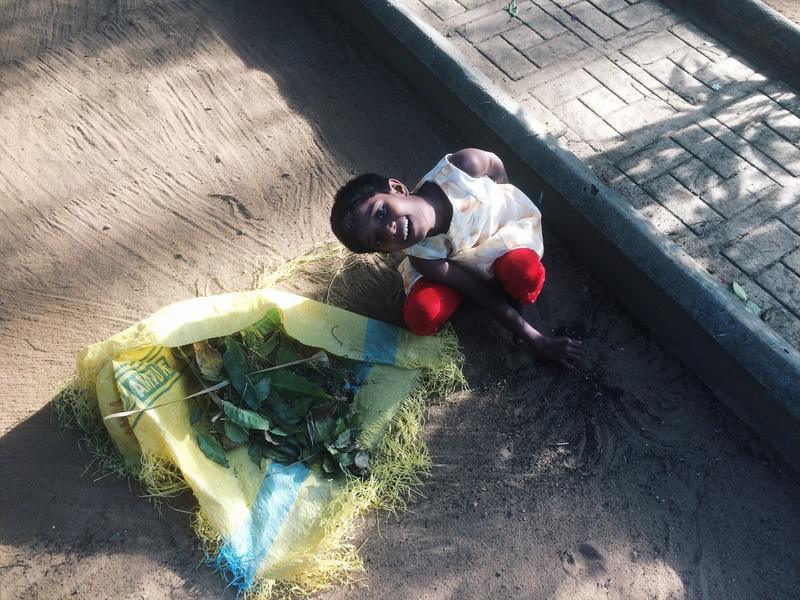 Kleine und große Gärtner