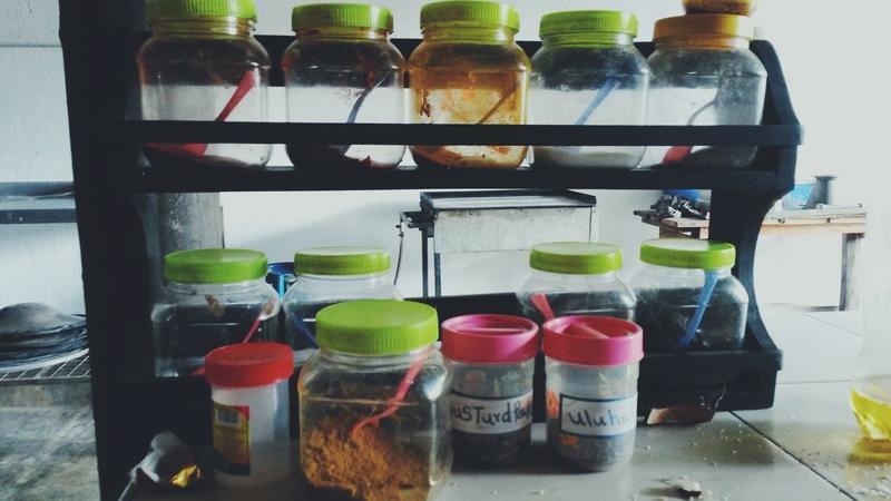 Die Gewürzinsel Sri Lanka