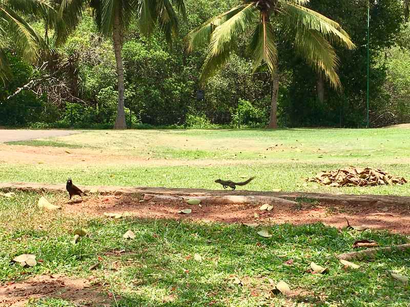 FullSizeRender-8_Easy-Resize.com