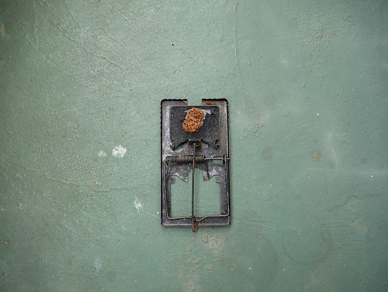 _1000833._20170501-053424_1