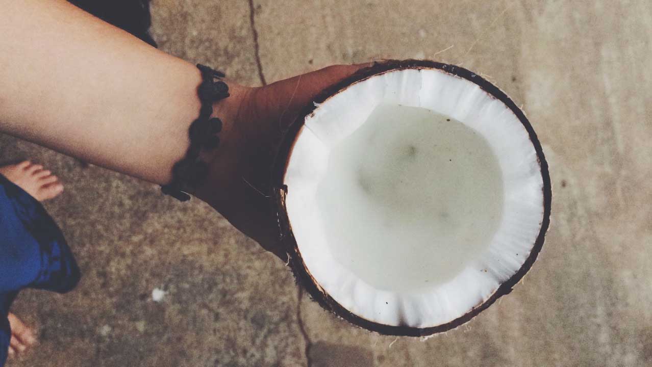 Die Kokusnuss: ein Grundnahrungsmittel