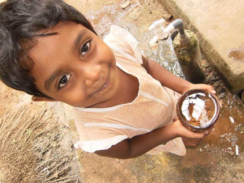 Sauber gespülte Kokosnussschale