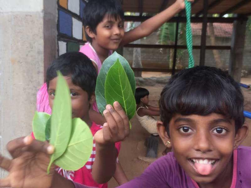 Blätter zum Spielen und verzieren