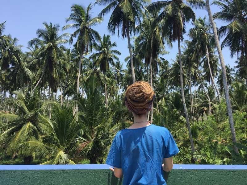 Paradisische Aussichten