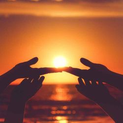 Einblick in unsere Jahresberichte