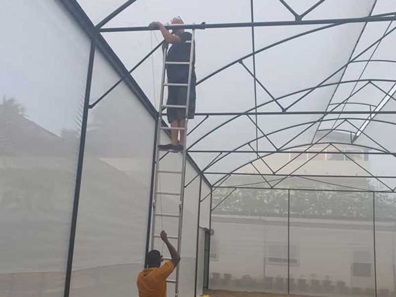 Drahseile spannen für die Rankengewächse