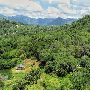 Interessante Gewürzgärten in Sri Lanka