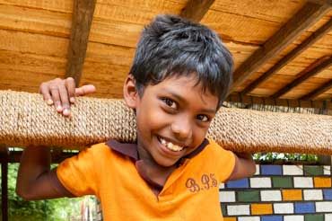 Entwicklung Dilini (November 2021, geschrieben von Rika Pfeiffer und Julia Fischer)