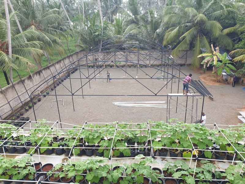 Mit dem Grundgerüst anfangen