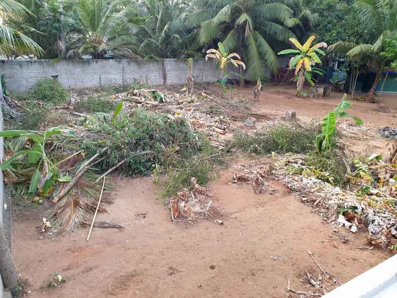 Roden für das Grünhaus