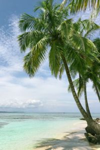 Casuarina Beach: