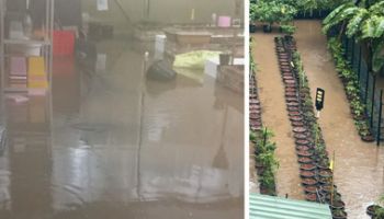 💦 Zweimal im Jahr ist wirklich zu viel! Heute hat’s uns wieder voll erwischt.