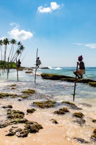 Bekannt für seine entspannte Atmosphäre und seine historische Bedeutung liegt dieser Strand in der Vorstadt von Colombo.